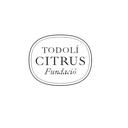 Imatge de Todolí Citrus Fundació