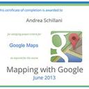 Andrea Schillani certificato da google